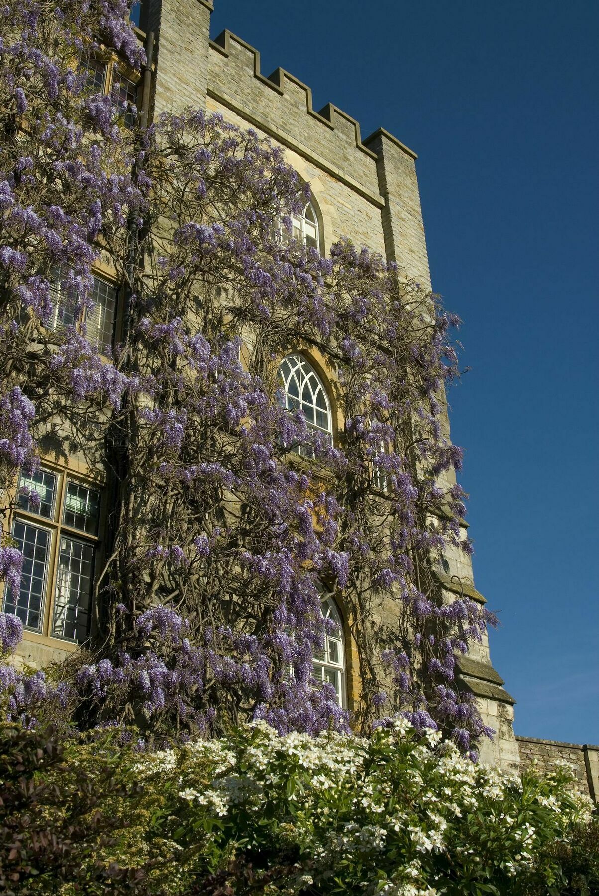 Castle Hotel Taunton Esterno foto